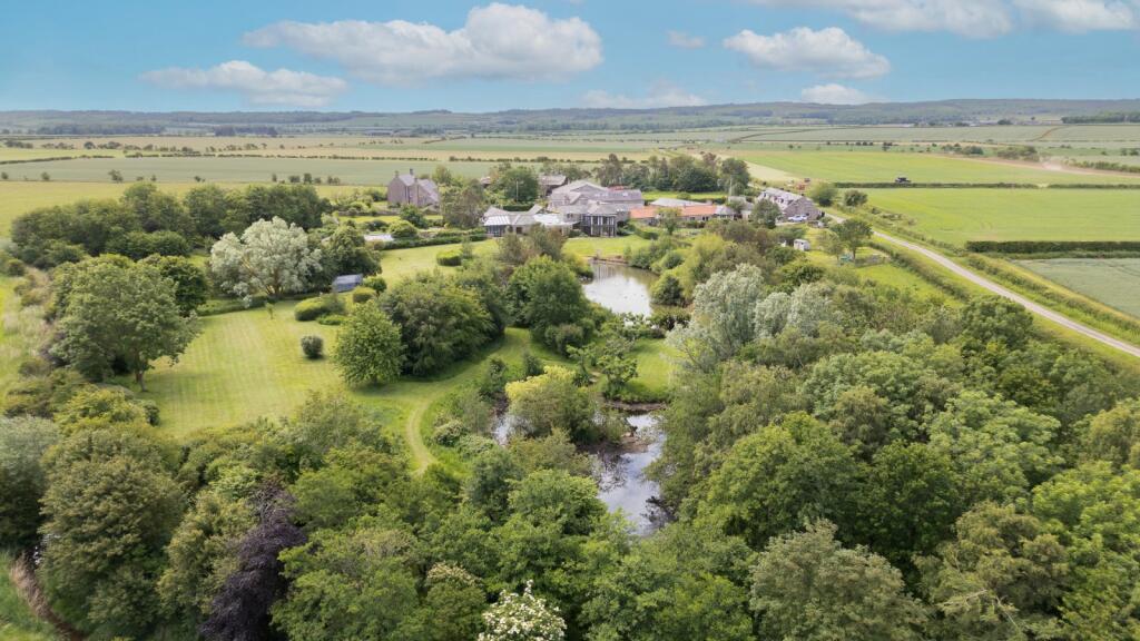 Aerial Shot