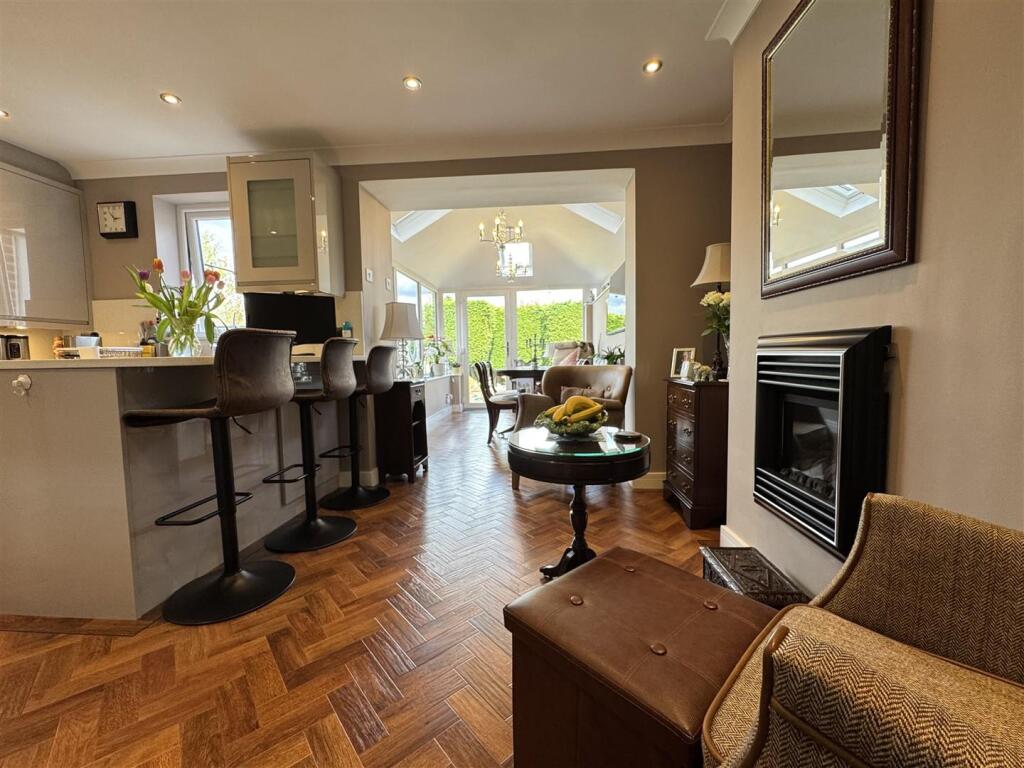 IMG_3779 (Large).JPG