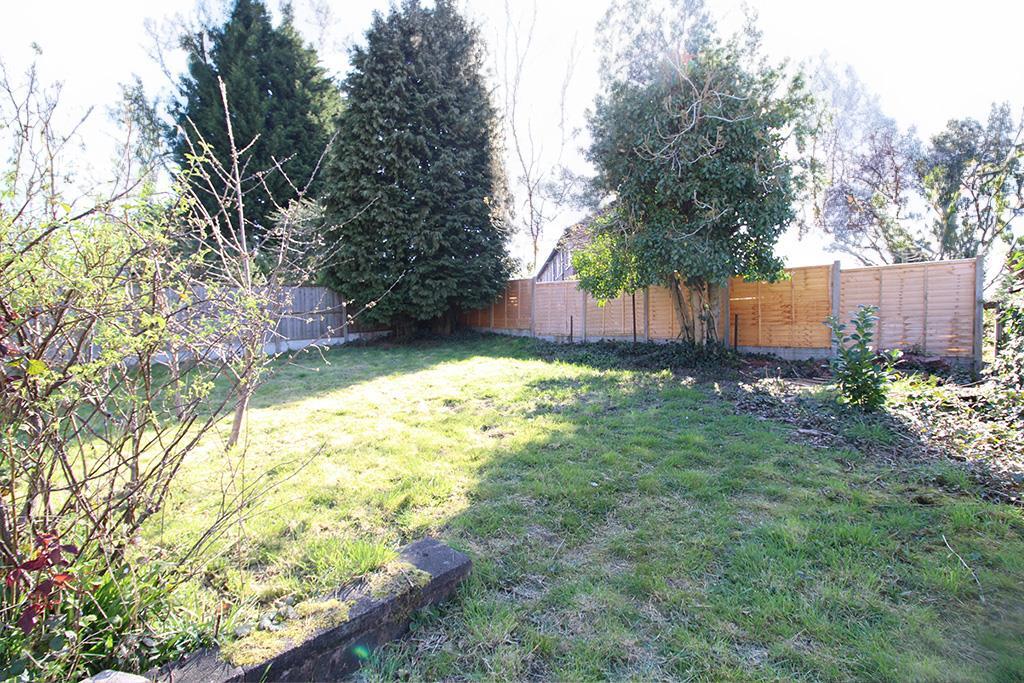 Garden 2.jpg