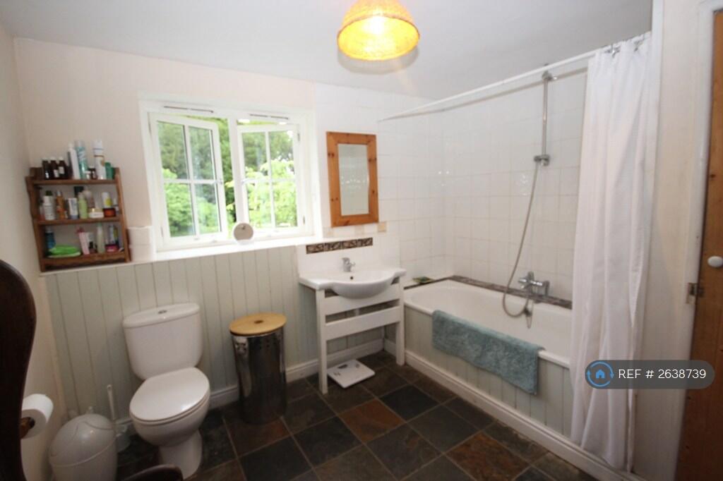 Main Bath/Shower/Toilet