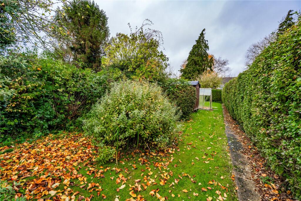 Garden (2)