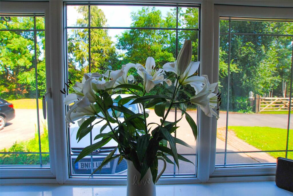 Lillies