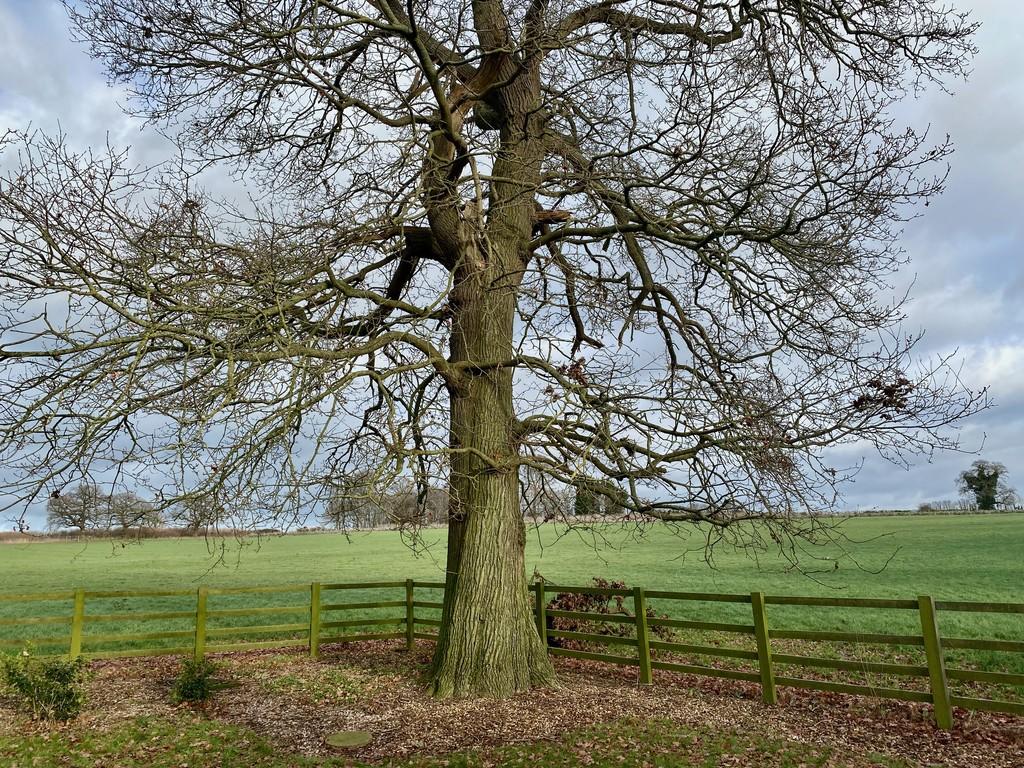 Countryside Views