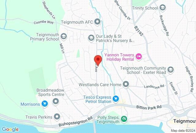 Google Maps Image