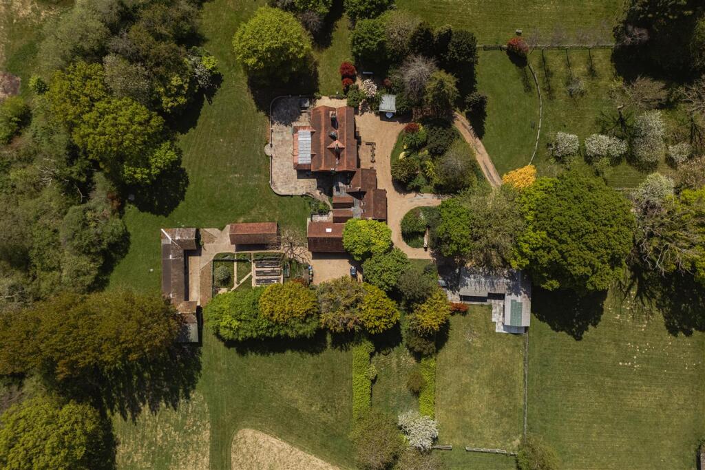DJI_0031.jpg