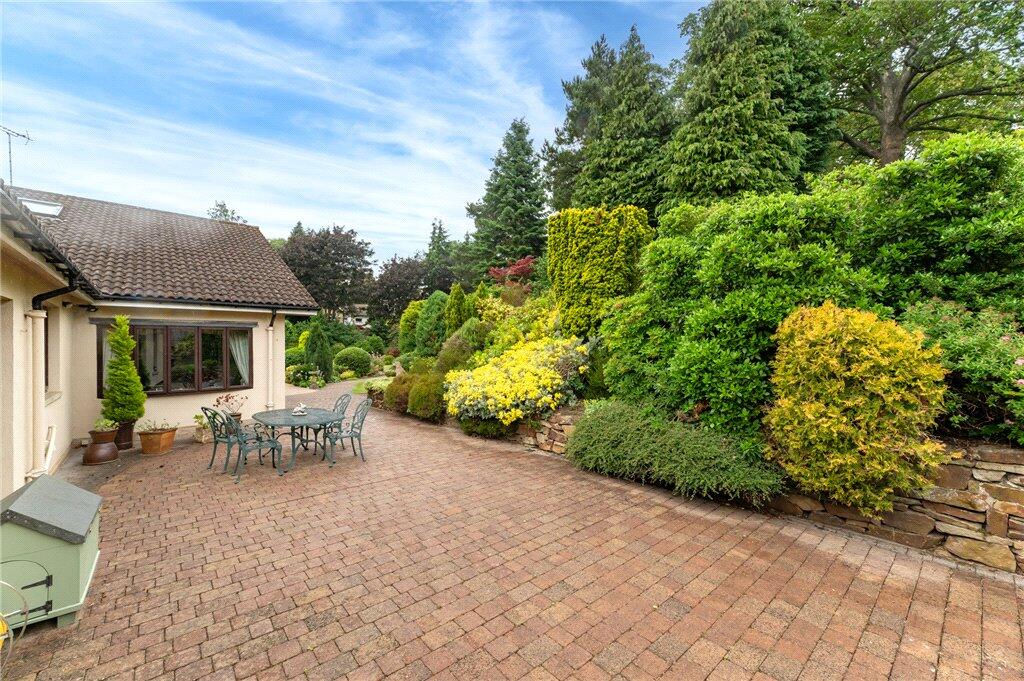 Patio Garden