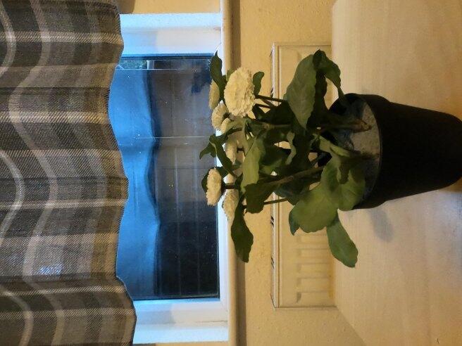 anson-road-nw2-6ae-983179