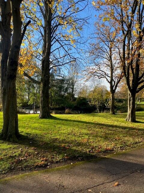Driveway 1