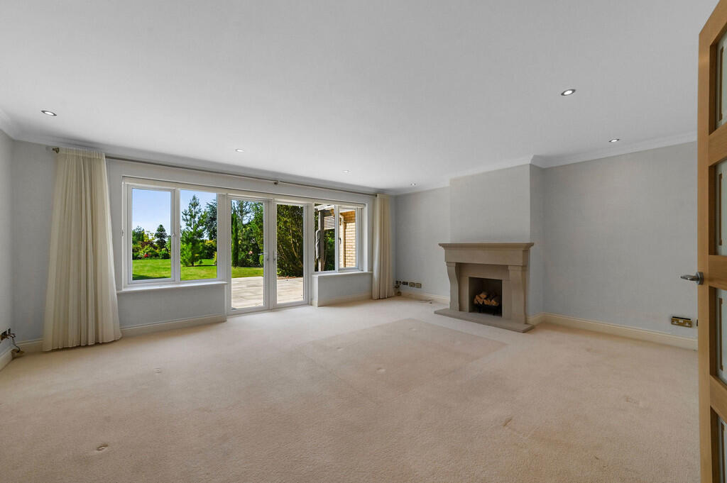 PT-DB(WP)-Brindle...