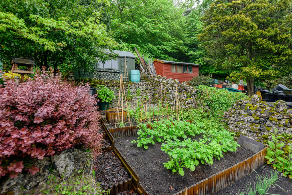 Side Garden
