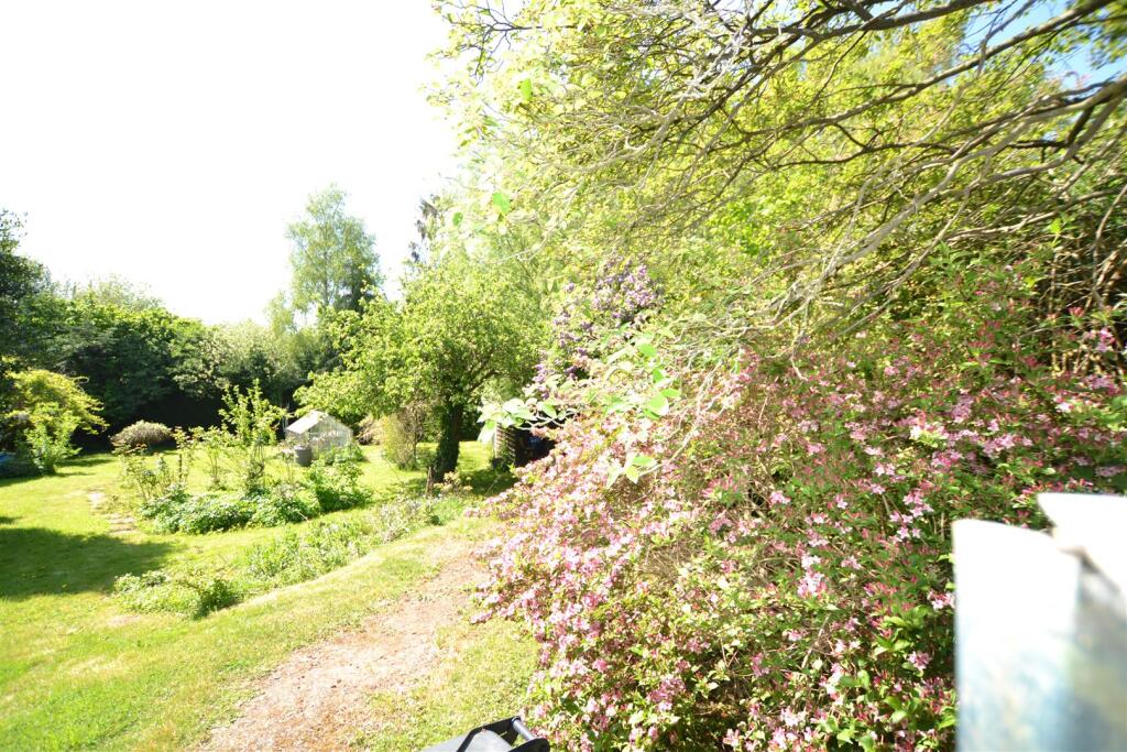 DSC_0004.JPG