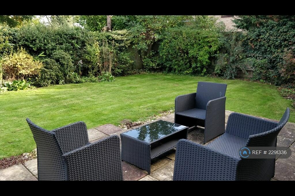 Garden (3)