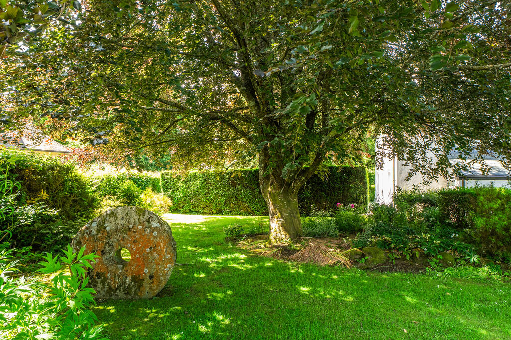 1307303-1-6849a9a...