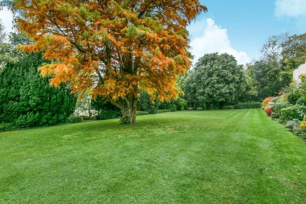 206990_32943908_I...