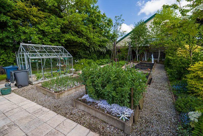 Vegetable Garden