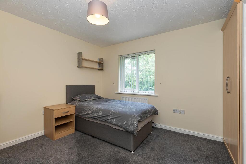29 Bullrushes Close-9.jpg