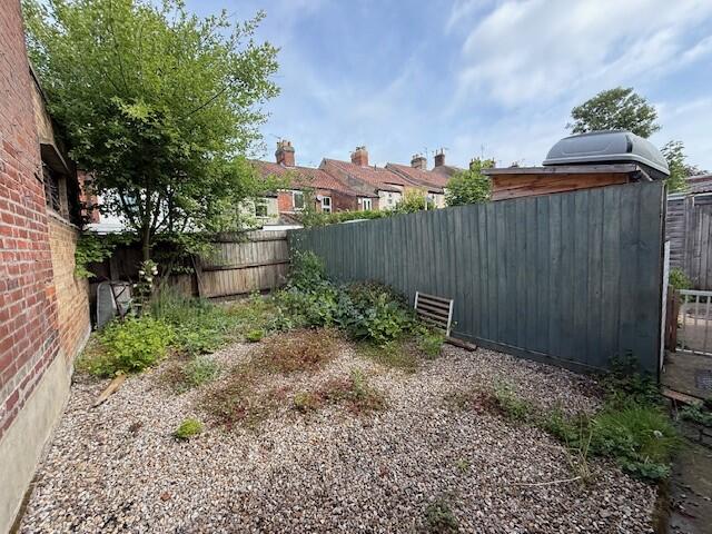 New Pic Of Garden T202505291024.jpg