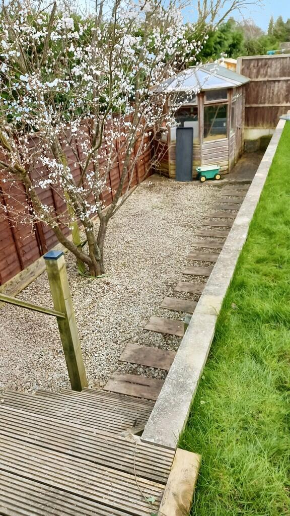 0d176293-20240304...