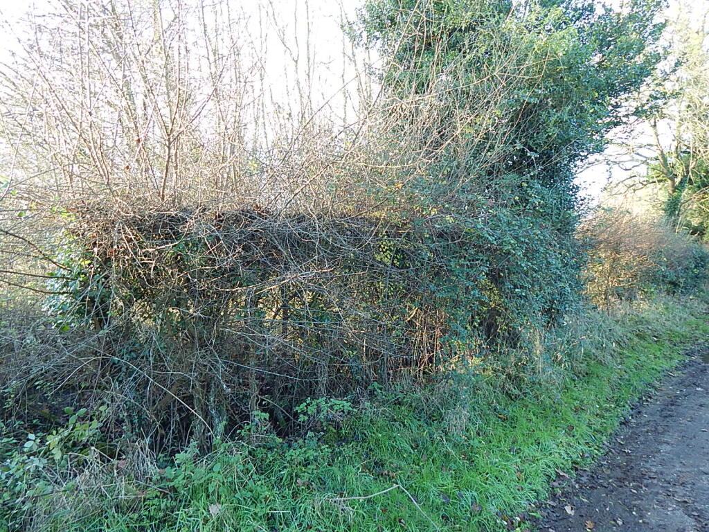 13 T202502241327.jpg