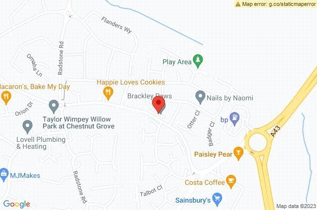 Google Maps Image