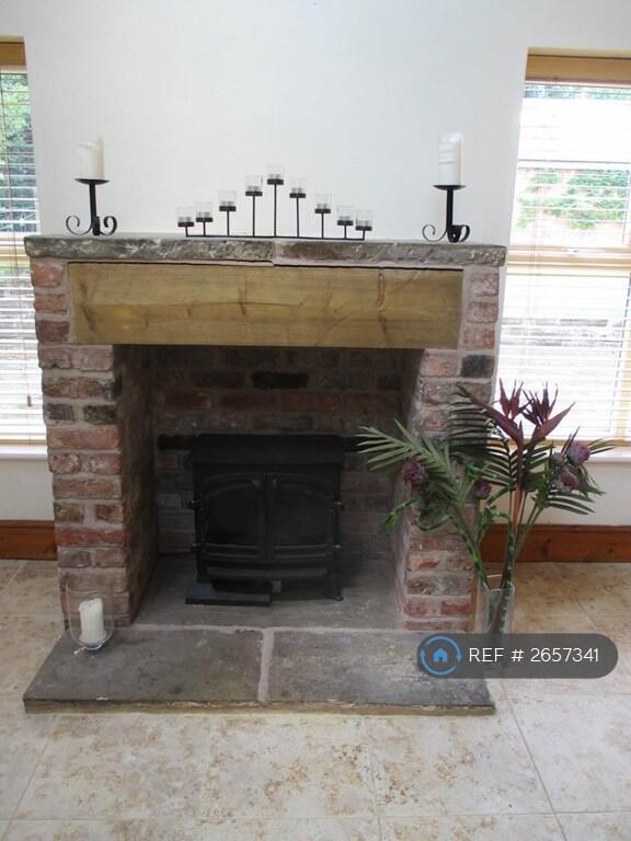Fireplace And Electric Stove