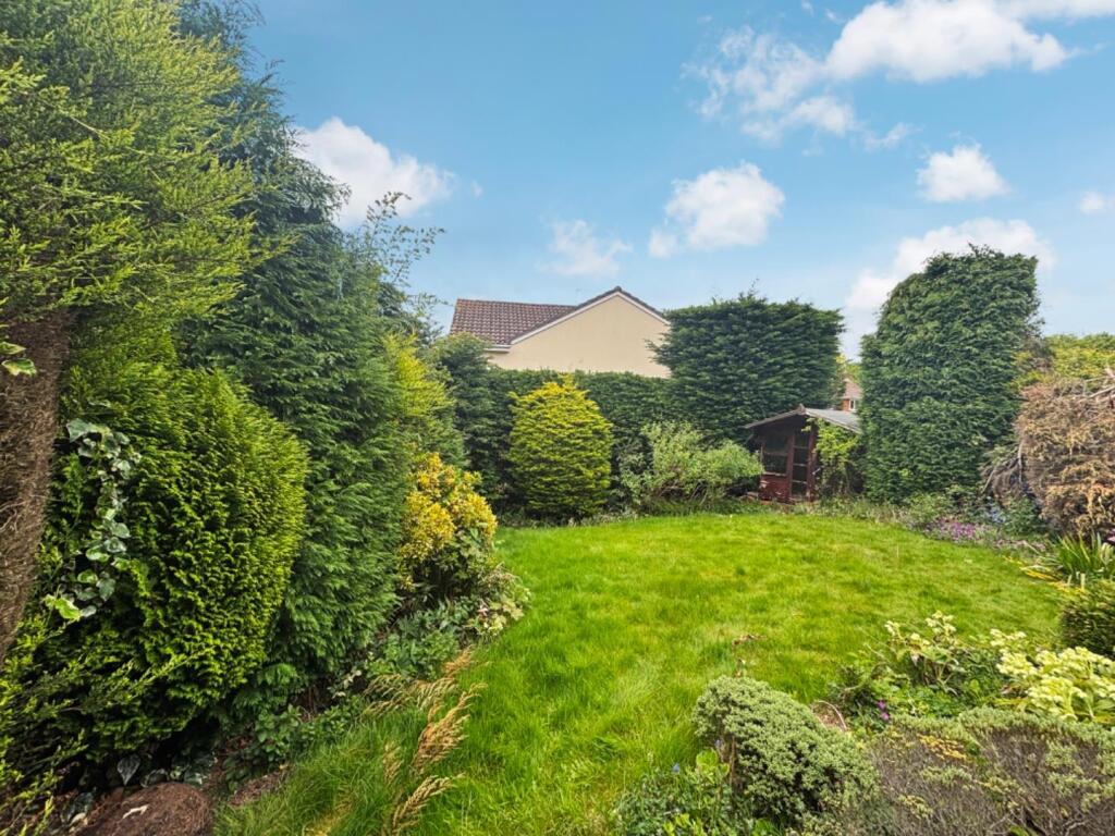 9017900-104519-133911871425060230-c92c2b03-8636-03