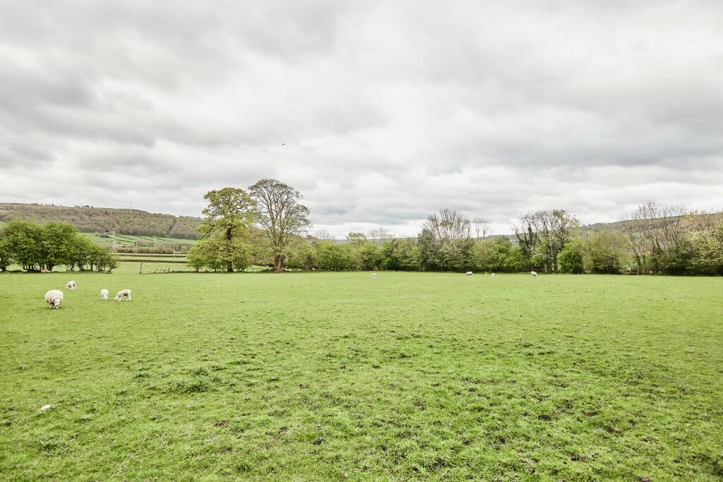Site Surroundings