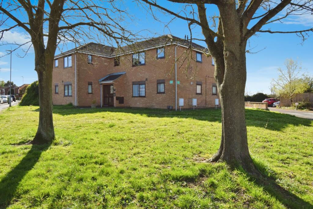 Rear Of The Property