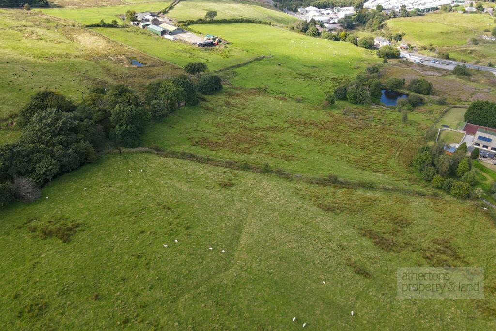 DJI_0780.jpg