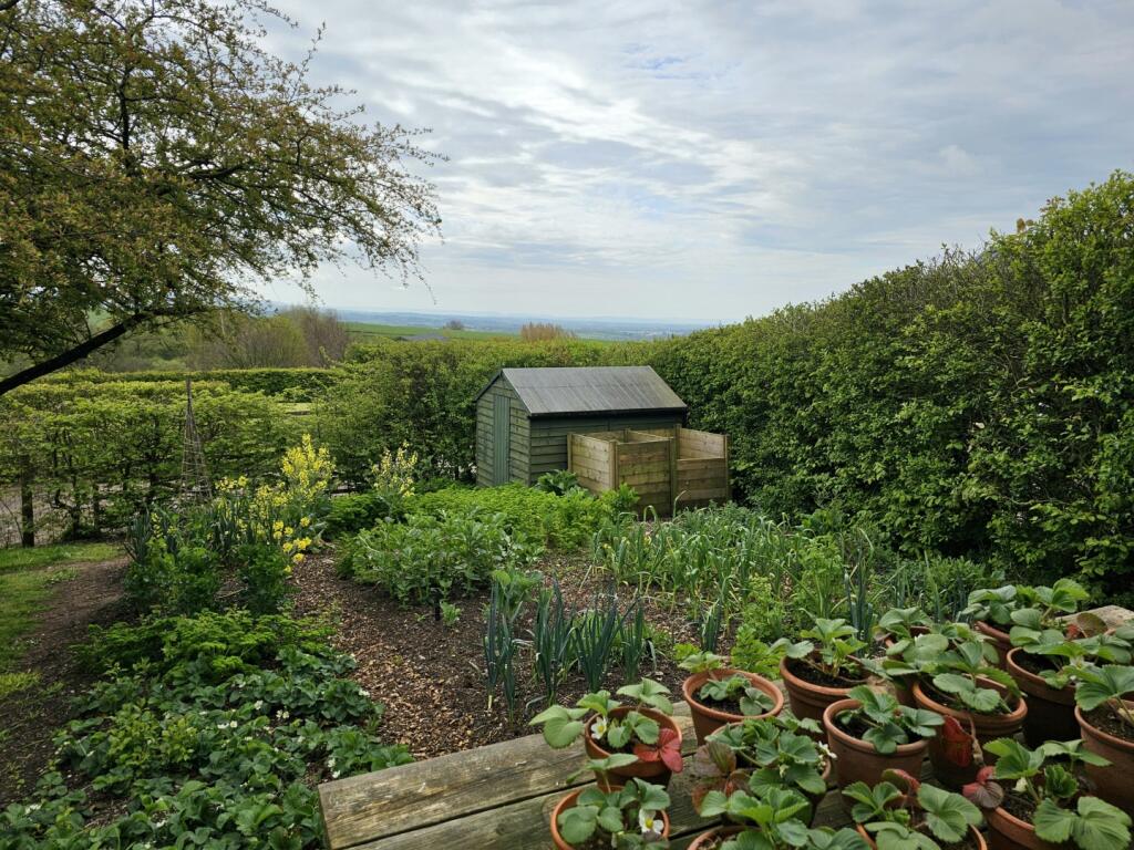 The Cider Press
