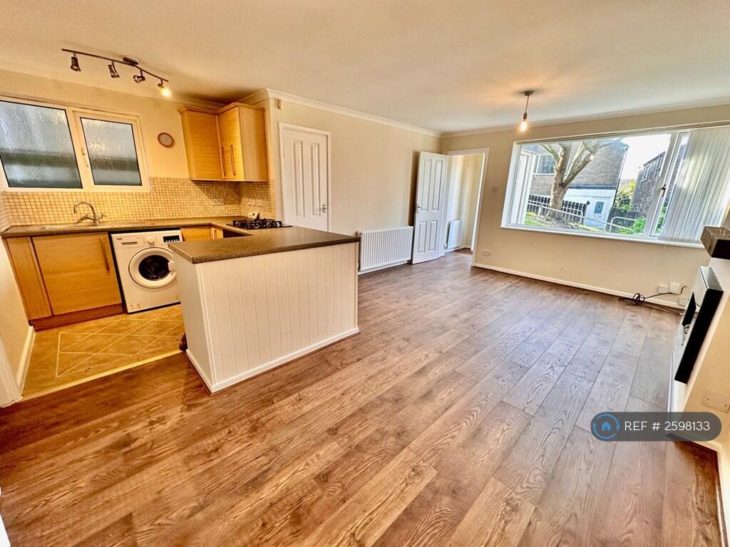 Open Plan Living Room And Kitchen