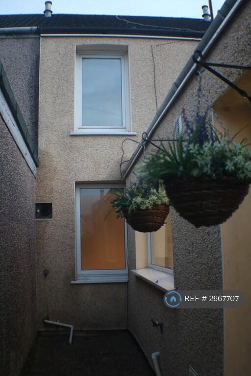 Garden Back Door Area