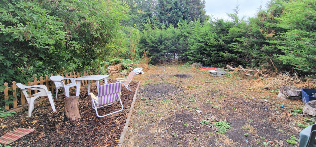 SIDE GARDEN