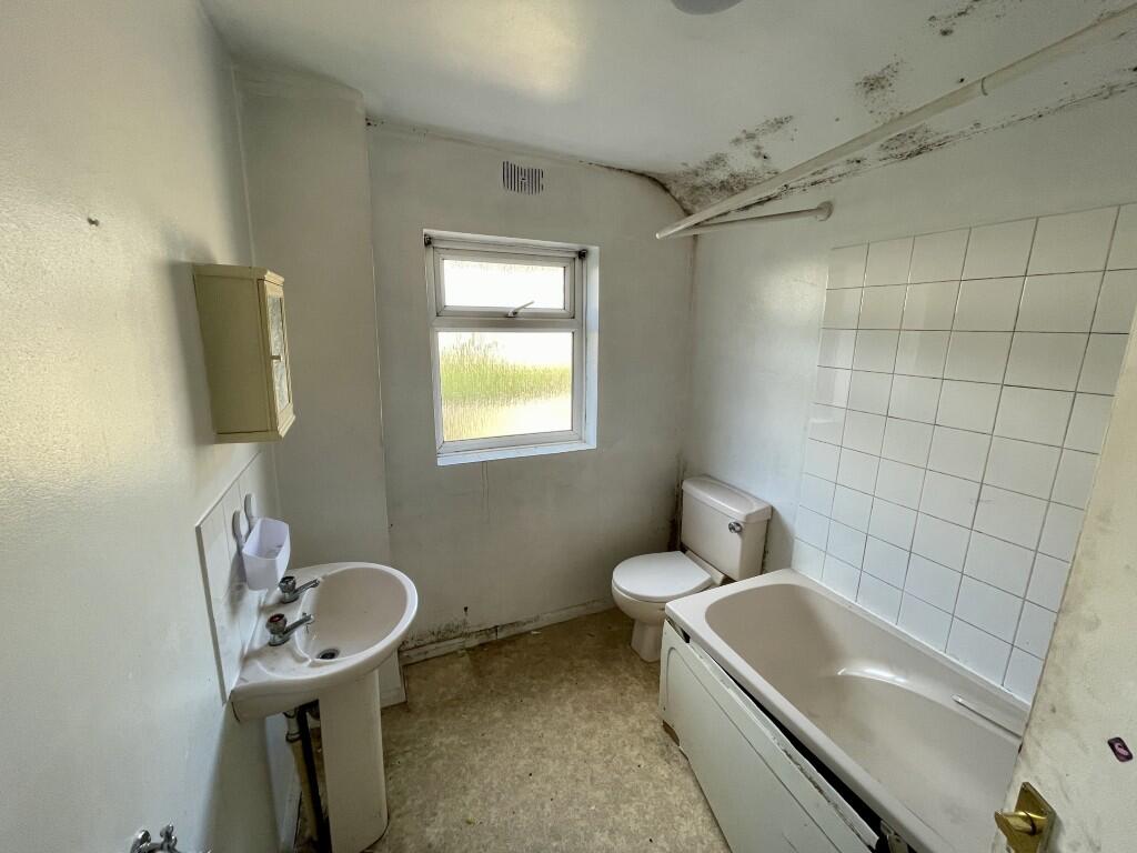 7  Medium  T202509251418.jpg