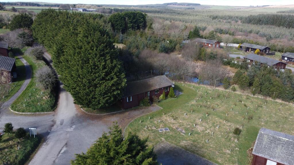 DJI_0351.JPG