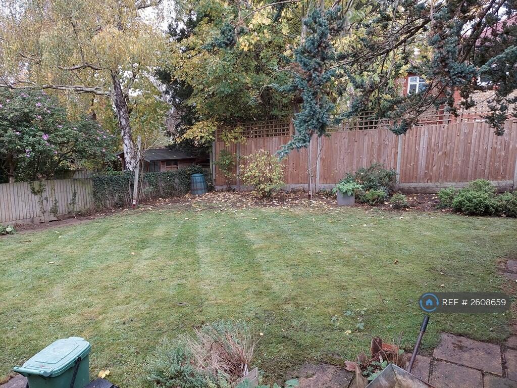 Back Garden