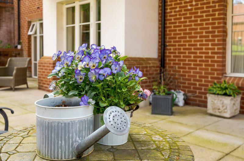 Patio flowers