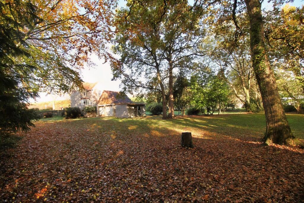 110 Badminton gar...