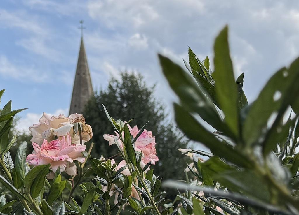 Church Spire in distance.jpeg