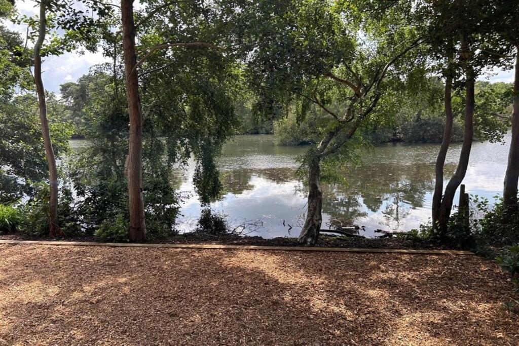 Lake View 1
