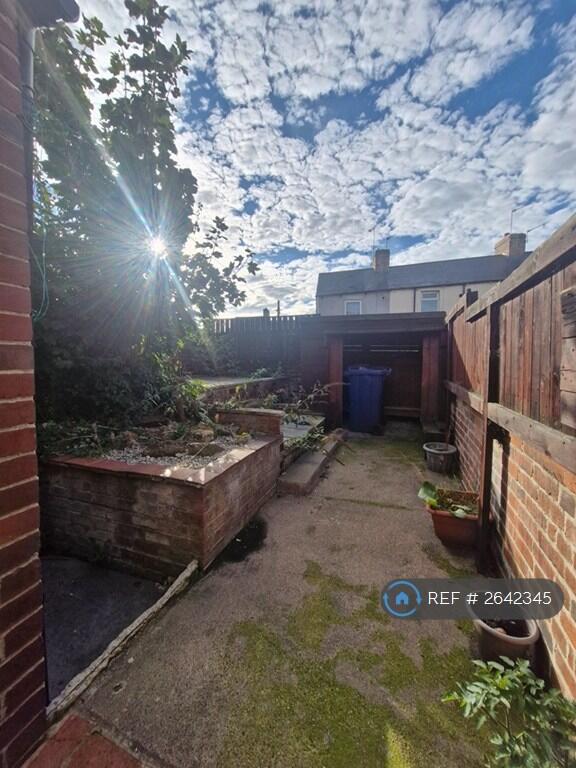 Back Garden