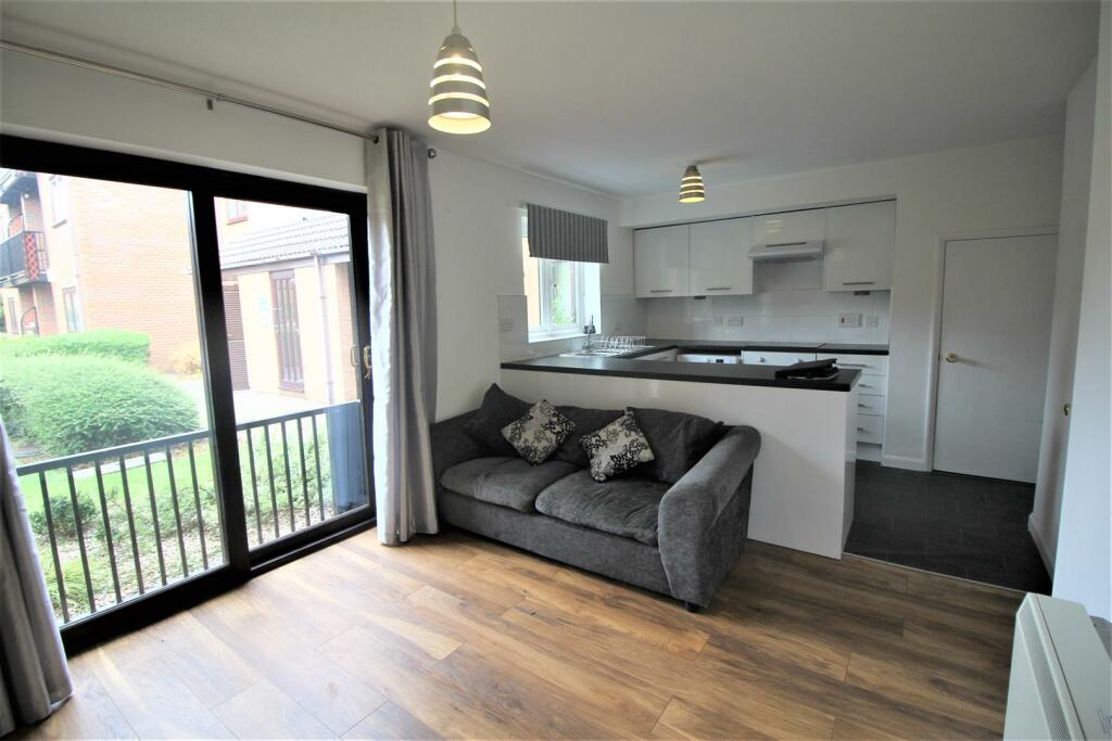 Living Room / Kitchen