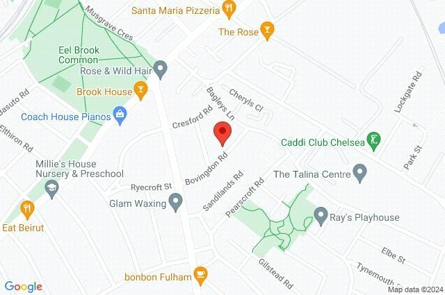 Google Maps Image