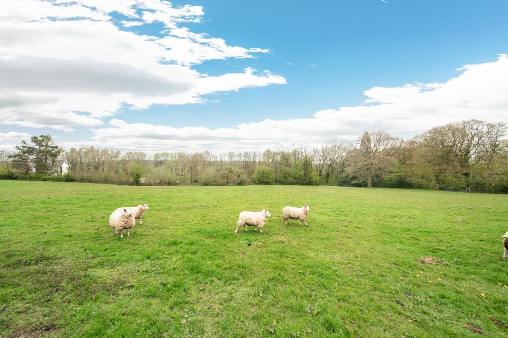 FIELDS