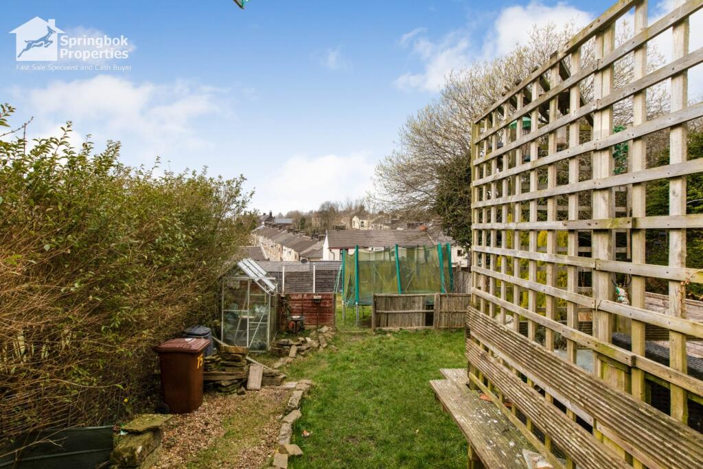 IMAGE 12