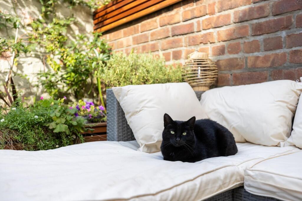 15 Stuart Street, BS5-35.jpg