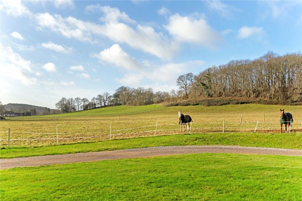 Field