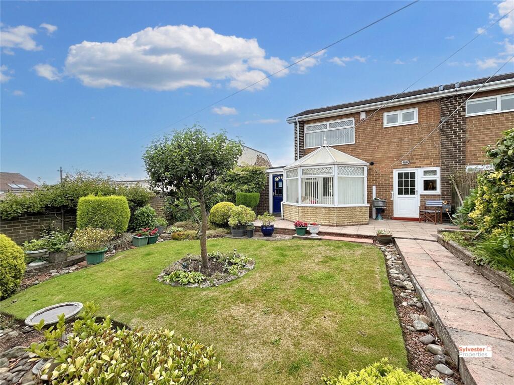 Picture No. 20