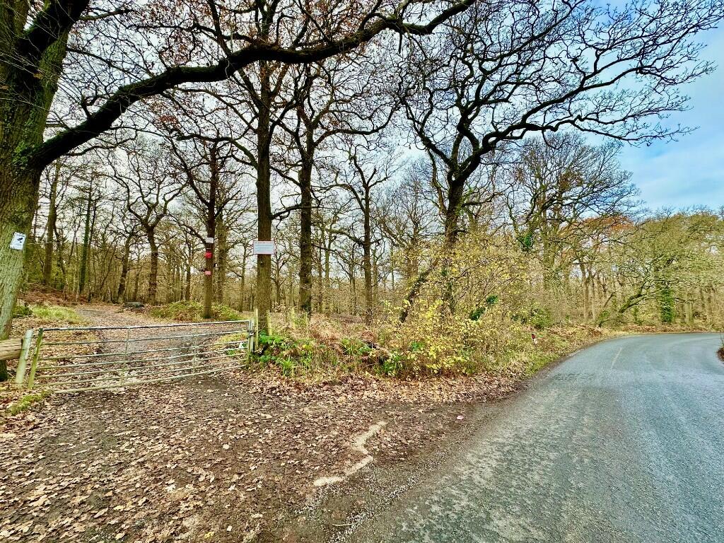 May Coppice/Southleigh Forest, Woodberry Lane, PO10