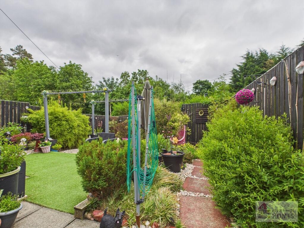 Rear Gardens